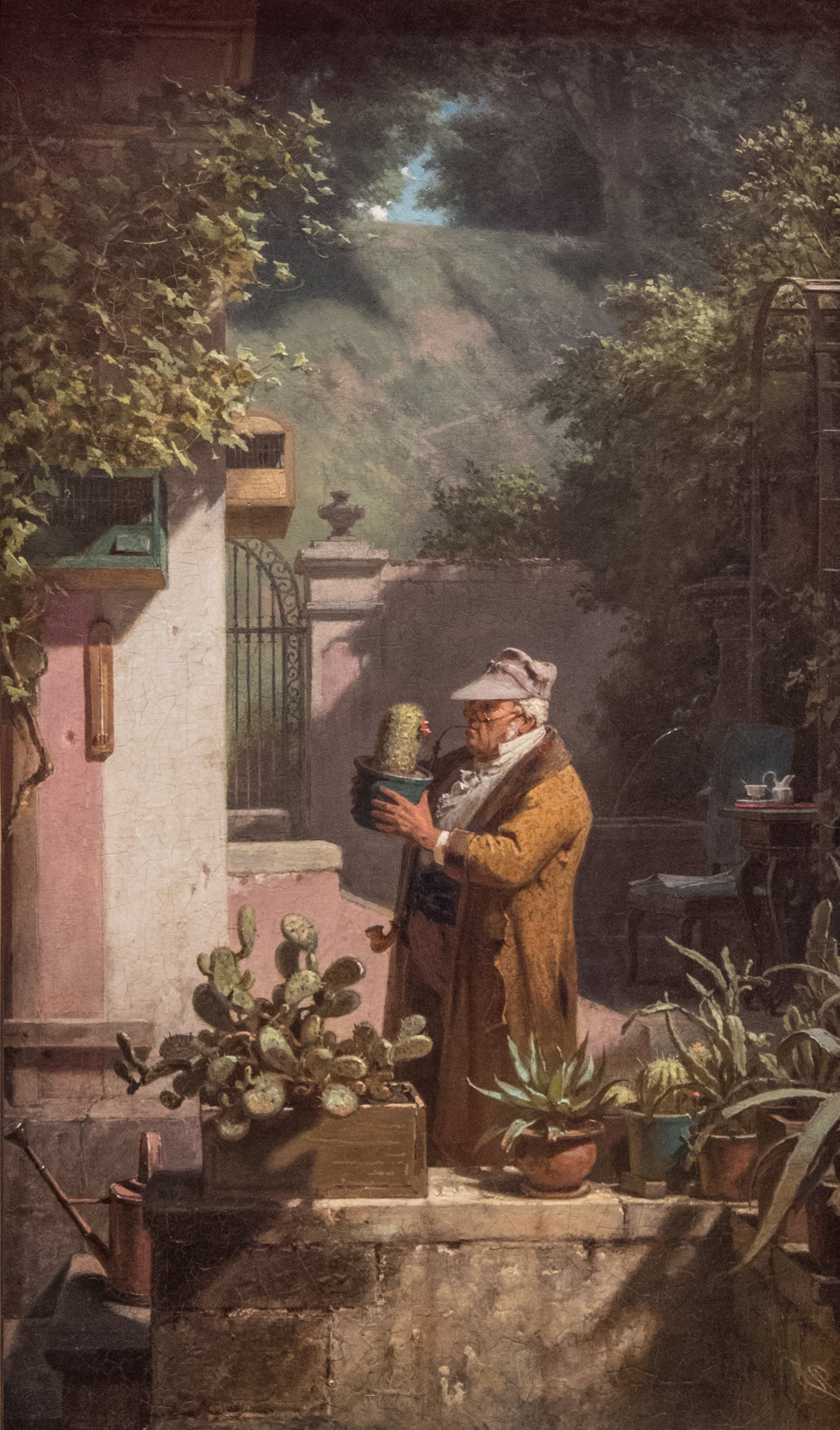 L'amante dei cactus - Carl Spitzweg