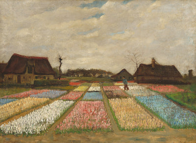 Campi di fiori in Olanda - Vincent van Gogh