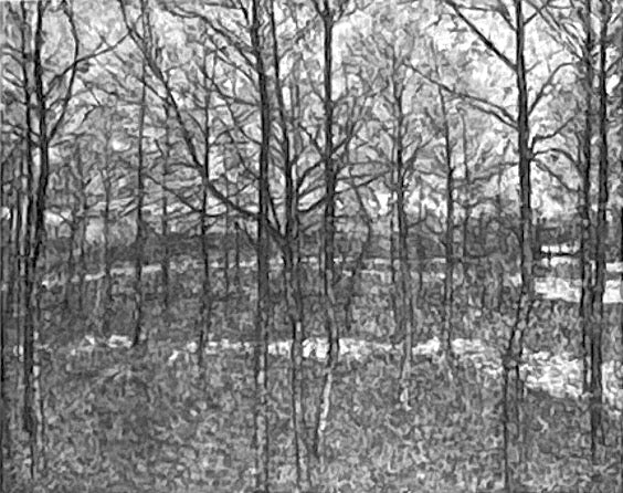 Forêt, Printemps - Kazimir Malevich