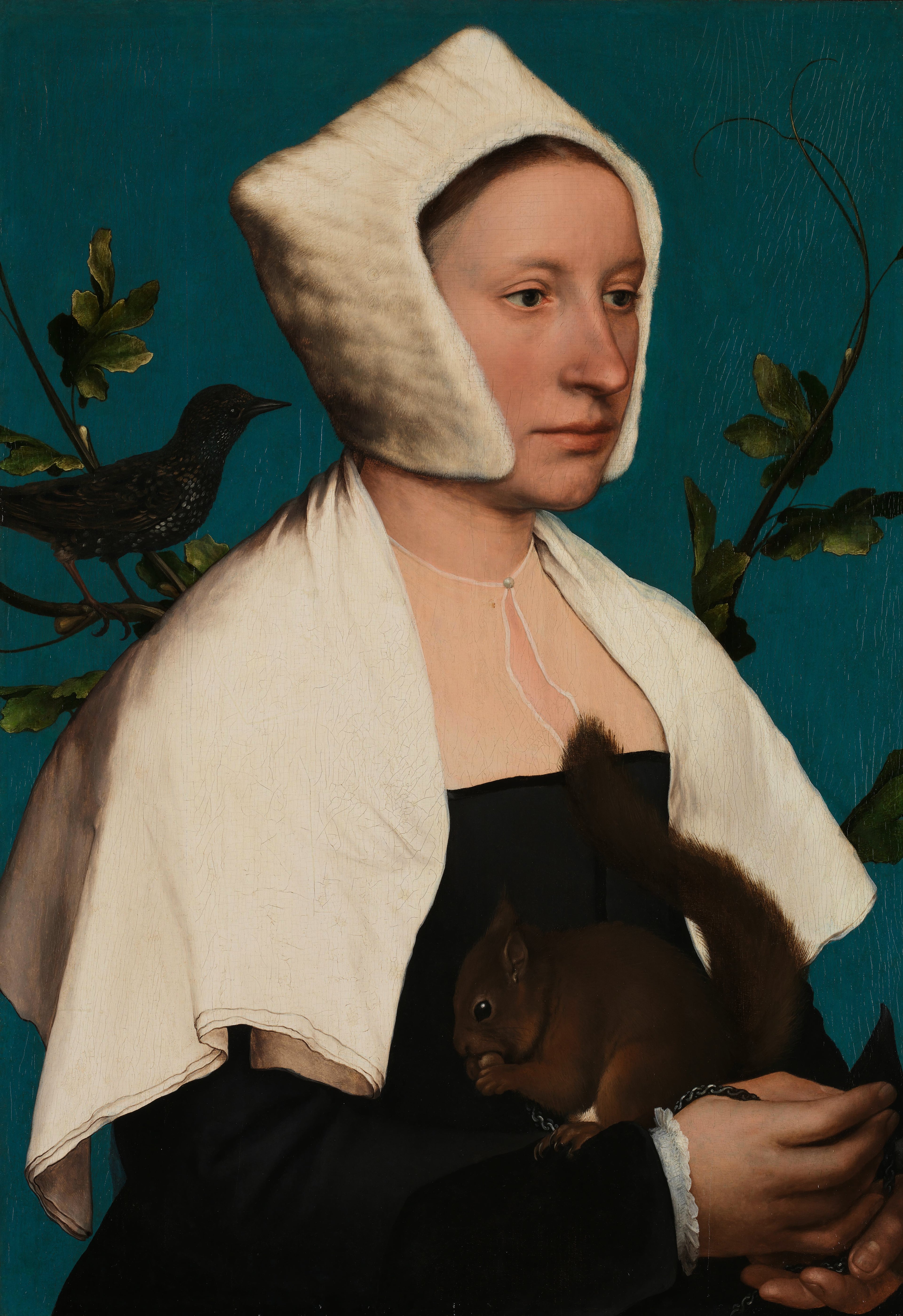 A Lady with a Squirrel and a Starling (Anne Lovell?) - Hans Holbein le Jeune