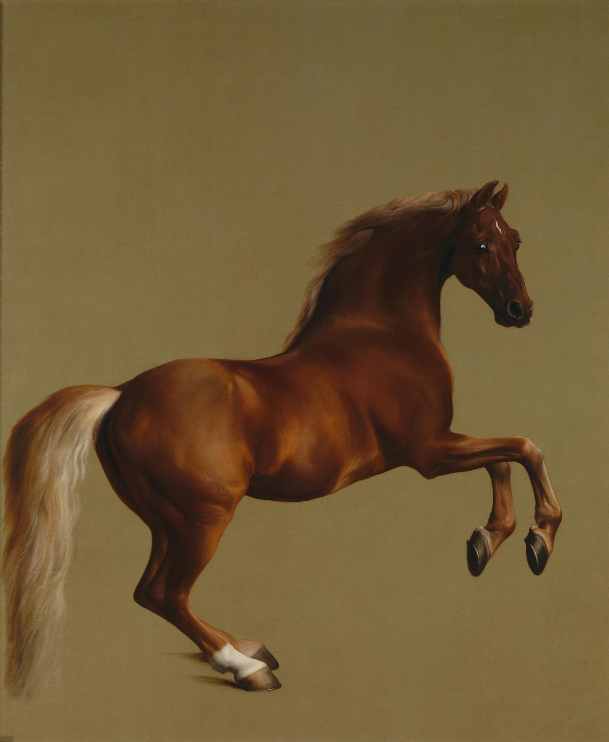 Whistlejacket — George Stubbs