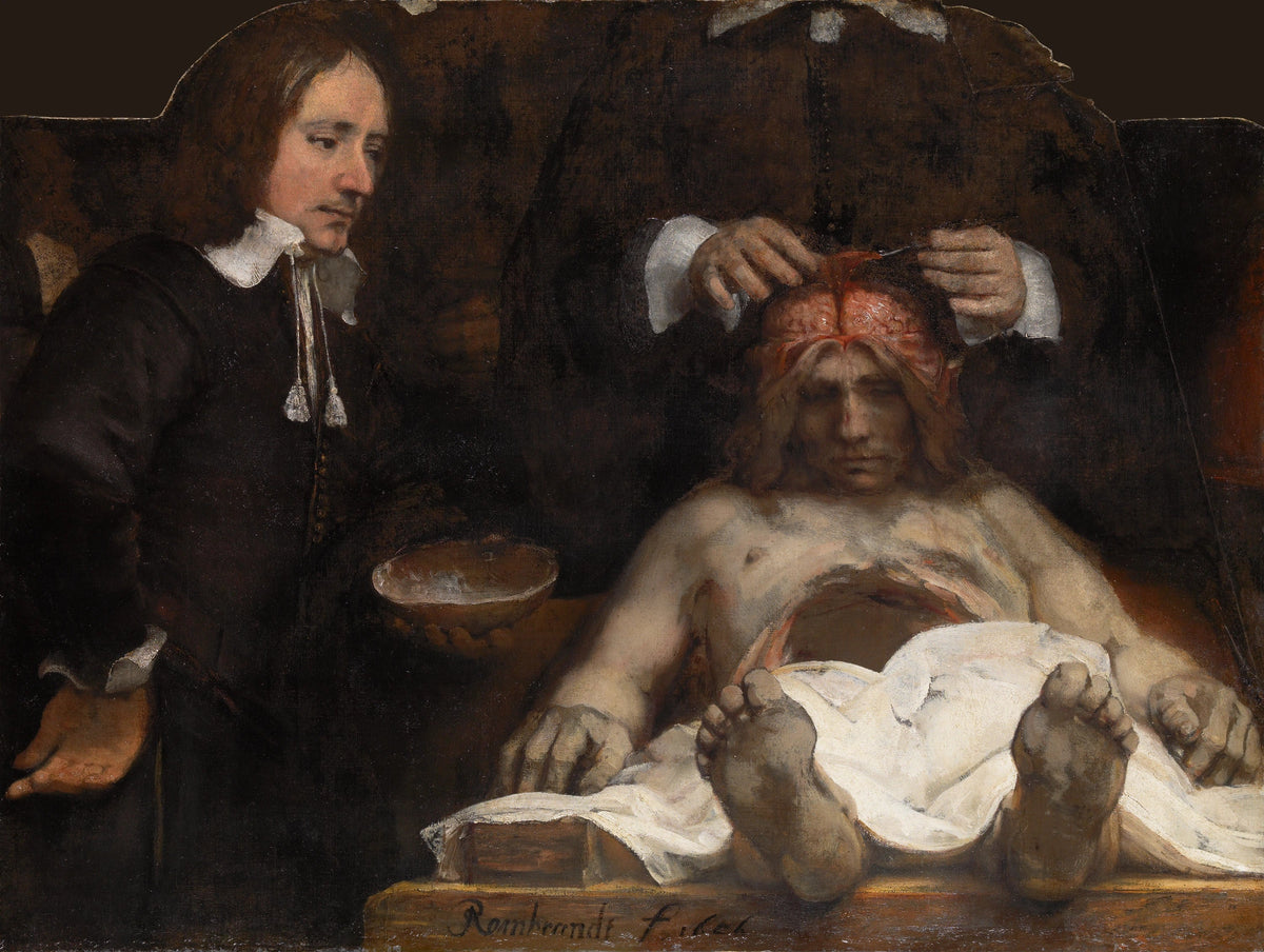 Rembrandt, fragment de La Leçon d’anatomie du docteur Jan Deijman, 1656