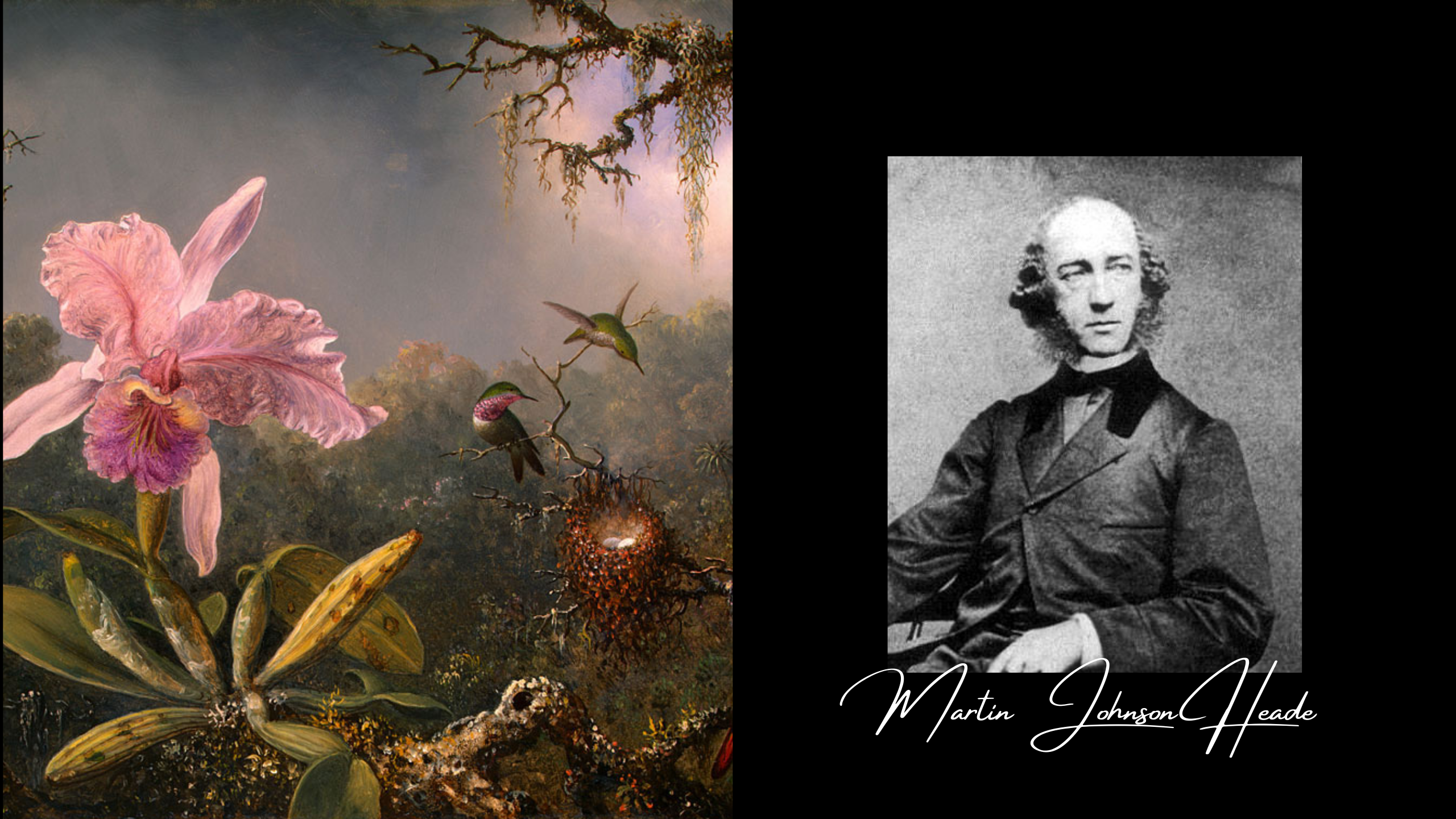 Reproductions de Tableaux de Martin Johnson Heade