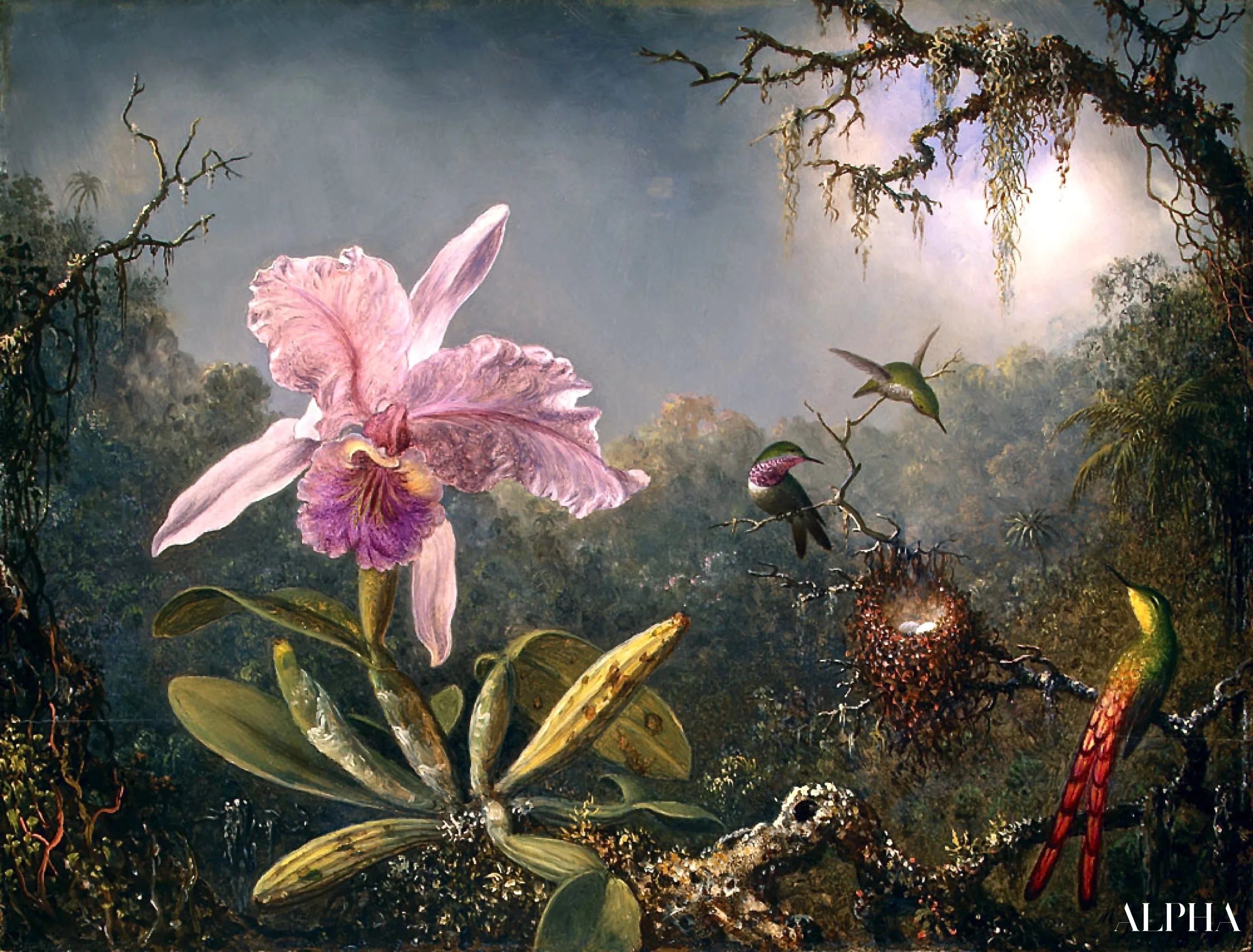 20 Quadri Famosi di Martin Johnson Heade