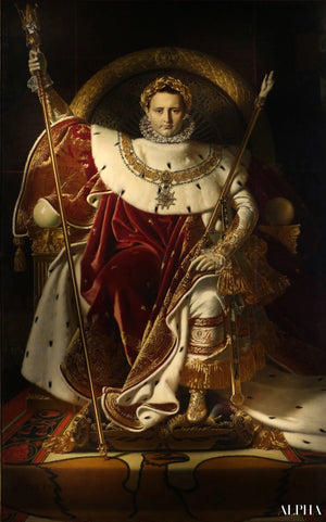 30 Quadri Famosi di Napoleone Bonaparte