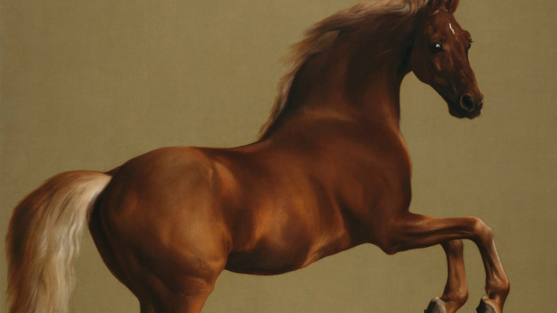George Stubbs