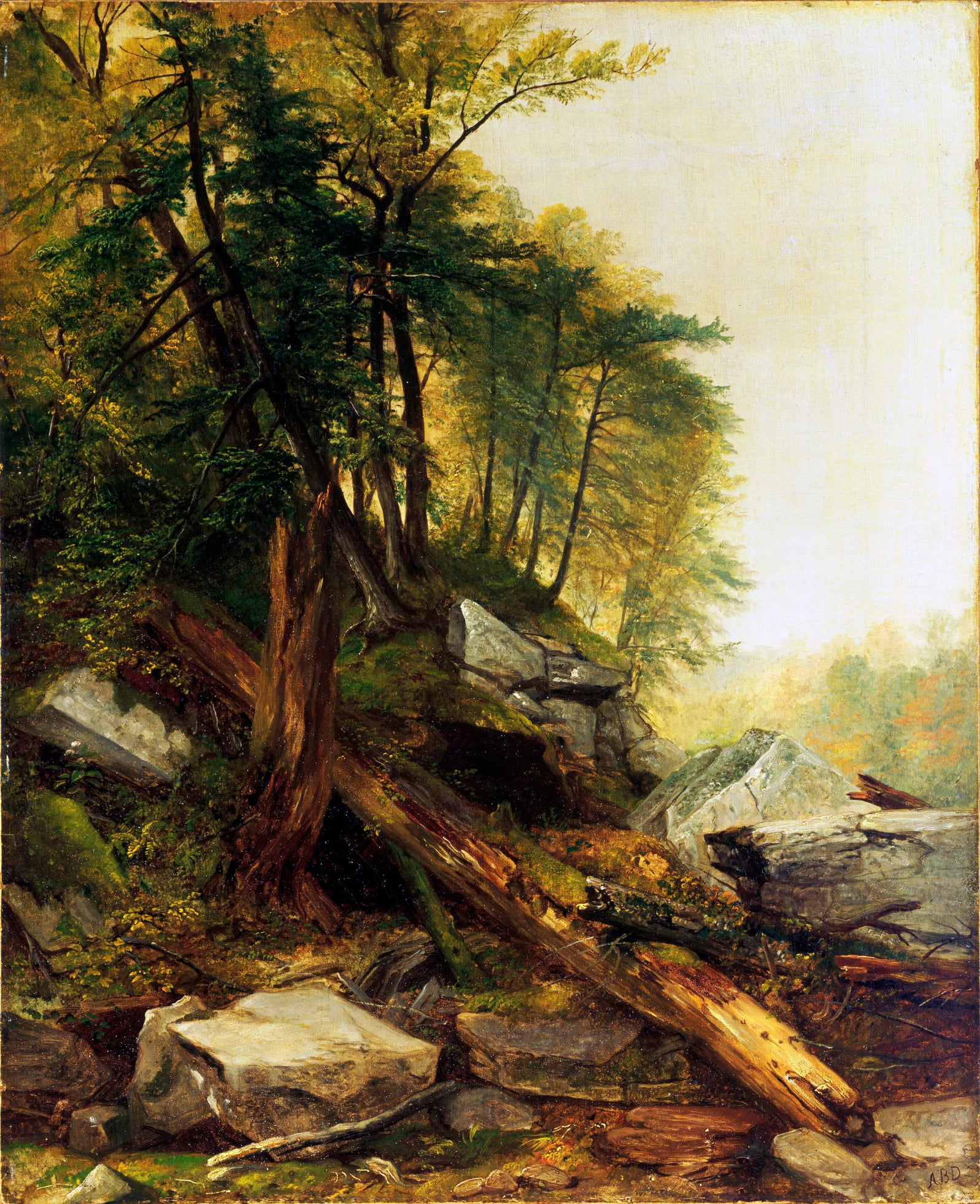 Paysage de Kaaterskill - Asher Brown Durand - Alpha Reproduction