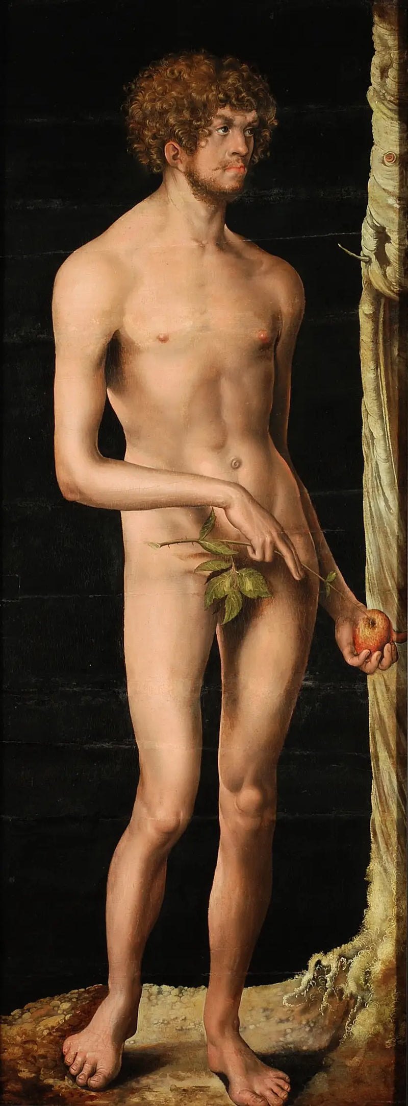 Adam - Lucas Cranach il Vecchio