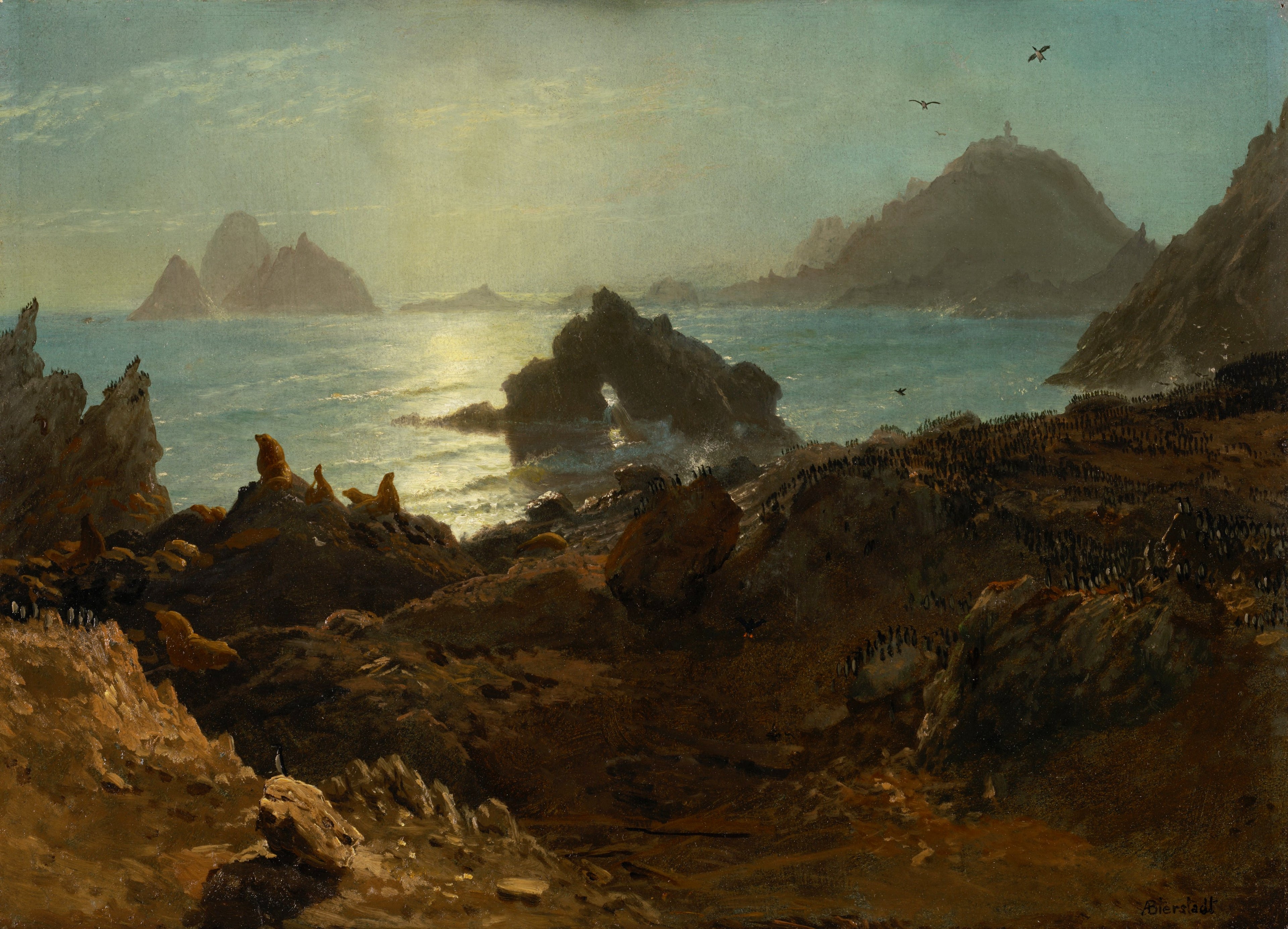 Îles Farallon, océan Pacifique, Californie - Albert Bierstadt