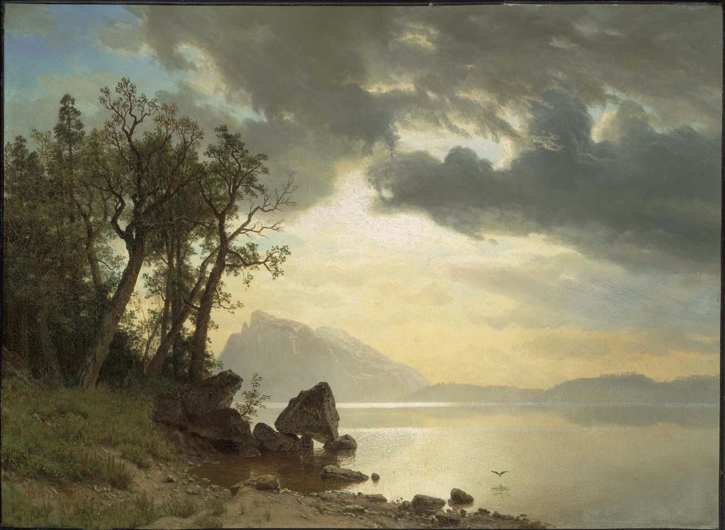 Lac Tahoe, Californie - Albert Bierstadt