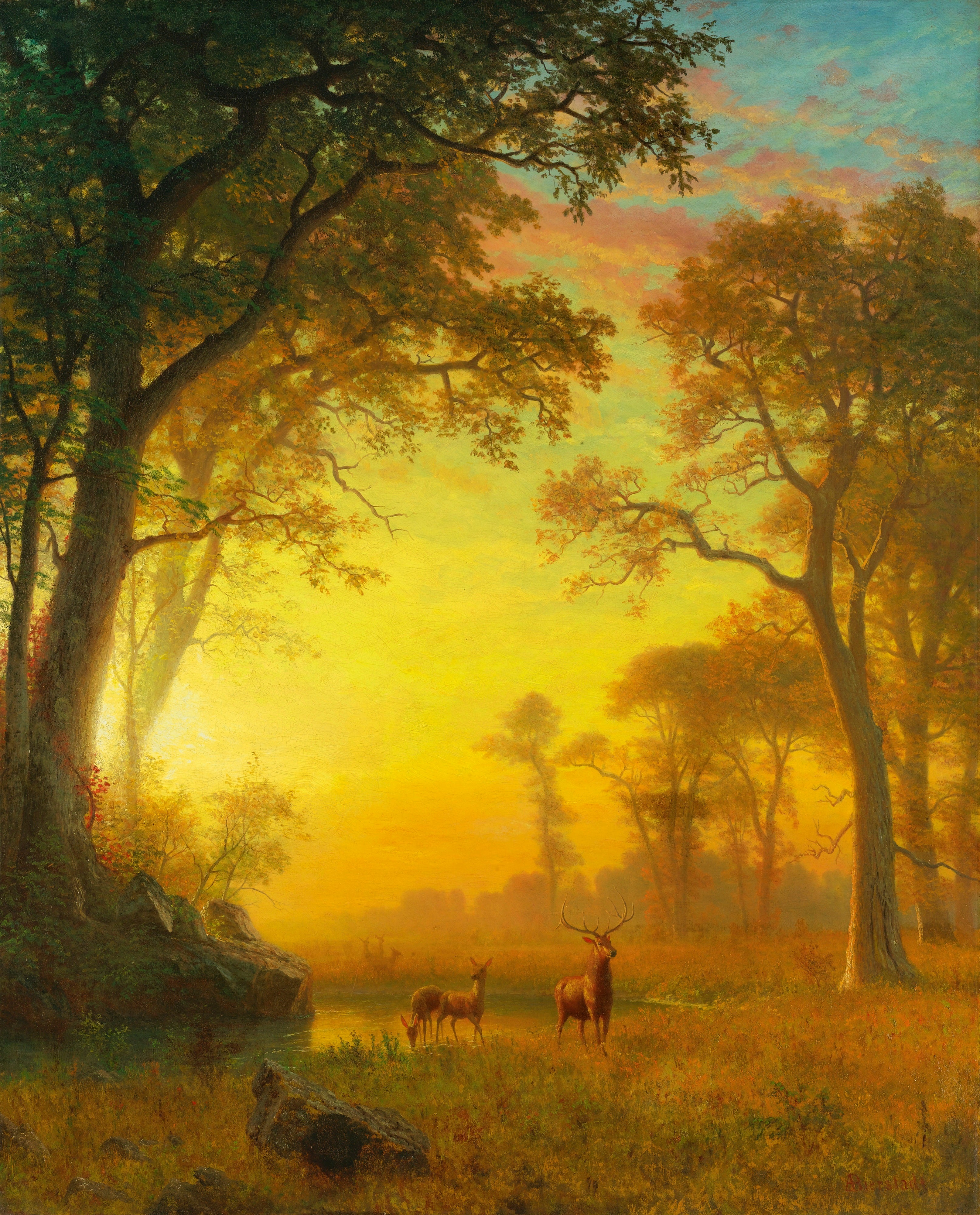 Lumière dans la forêt - Albert Bierstadt