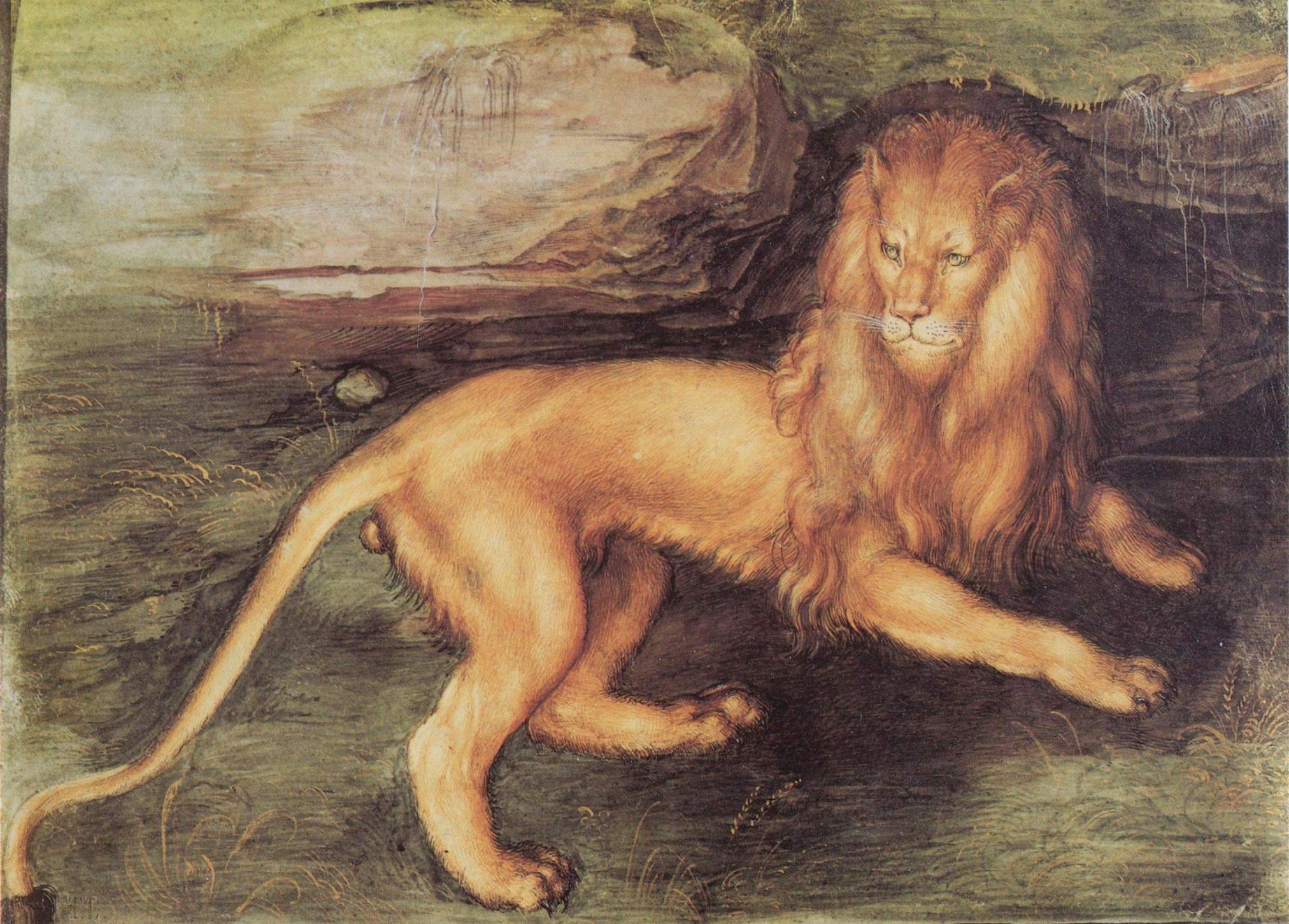 Leone - Albrecht Dürer