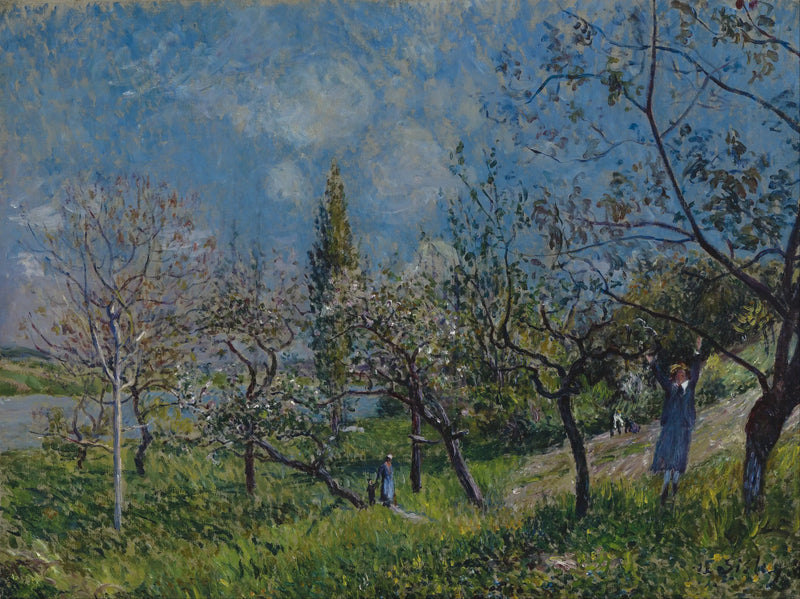 Un frutteto in primavera, Par - Alfred Sisley