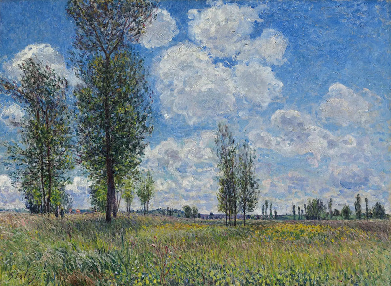 Prateria di Veneux-Nadon - Alfred Sisley