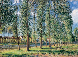 Reproduction du tableau « La rangée de peupliers à Moret - Alfred Sisley » par Alpha Reproduction en peinture à l’huile