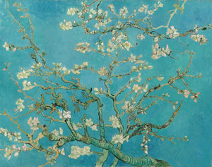 Mandorlo in fiore - Vincent van Gogh