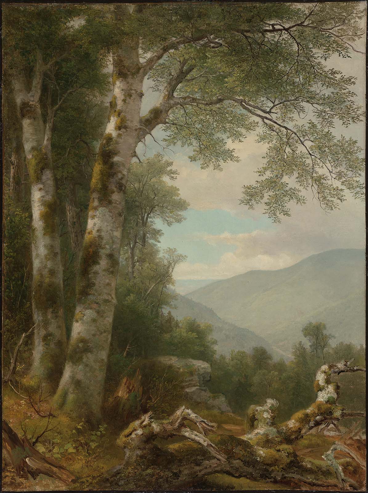 Paysage avec des bouleaux - Asher Brown Durand - Alpha Reproduction