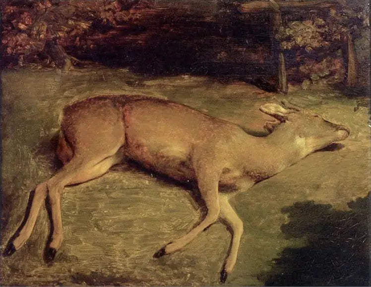 Cervo morto - Gustave Courbet