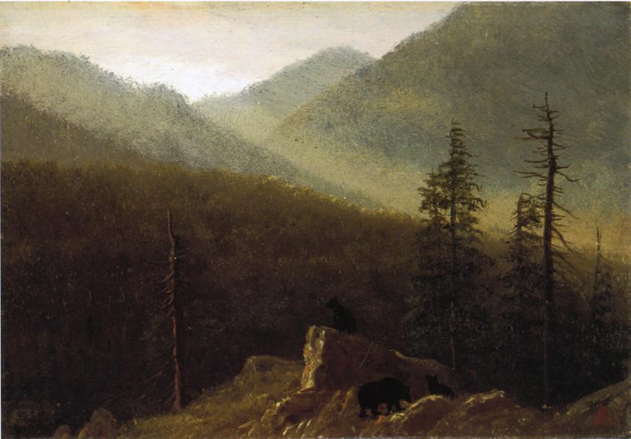 Ours dans la nature - Albert Bierstadt