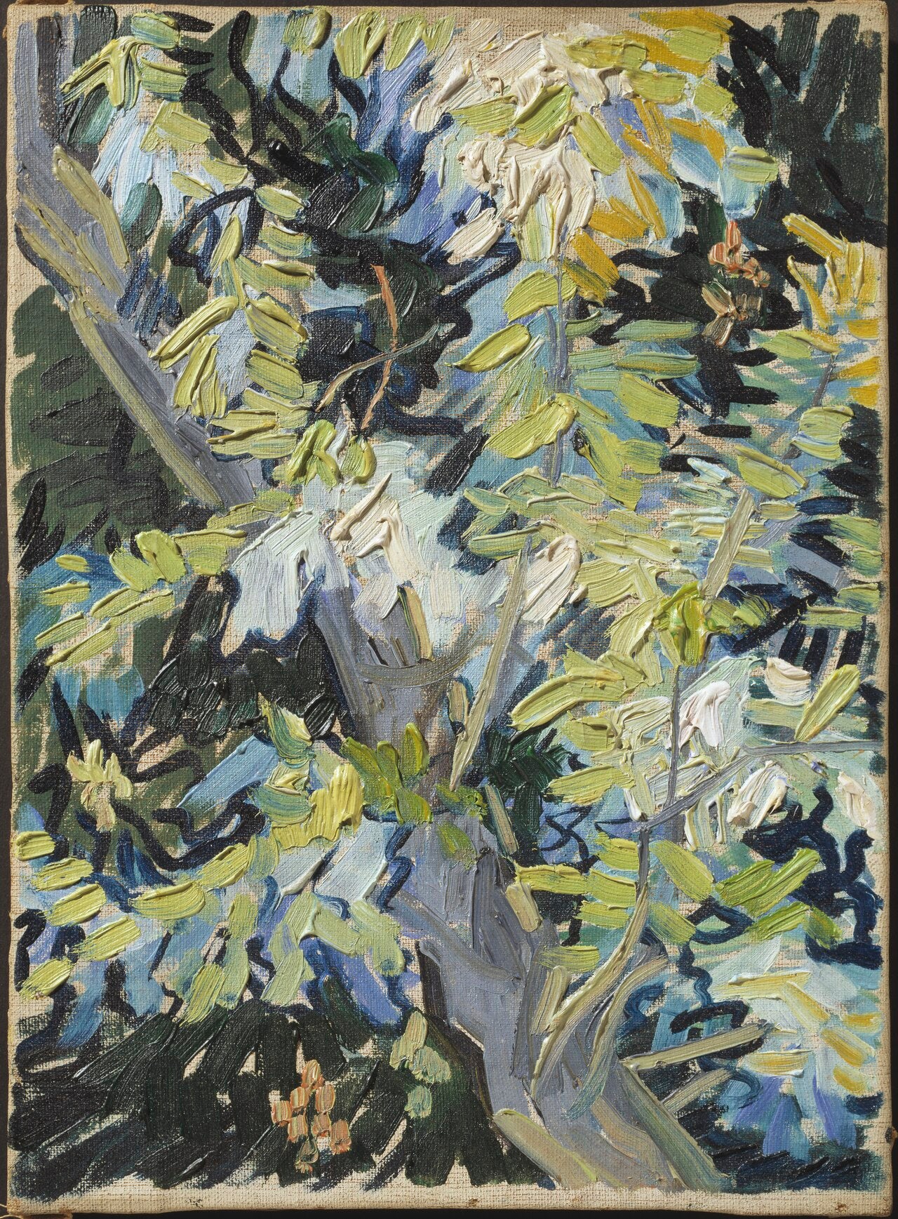 Rami di acacia in fiore - Vincent van Gogh
