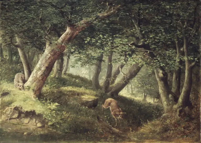 Nella foresta - William Holbrook