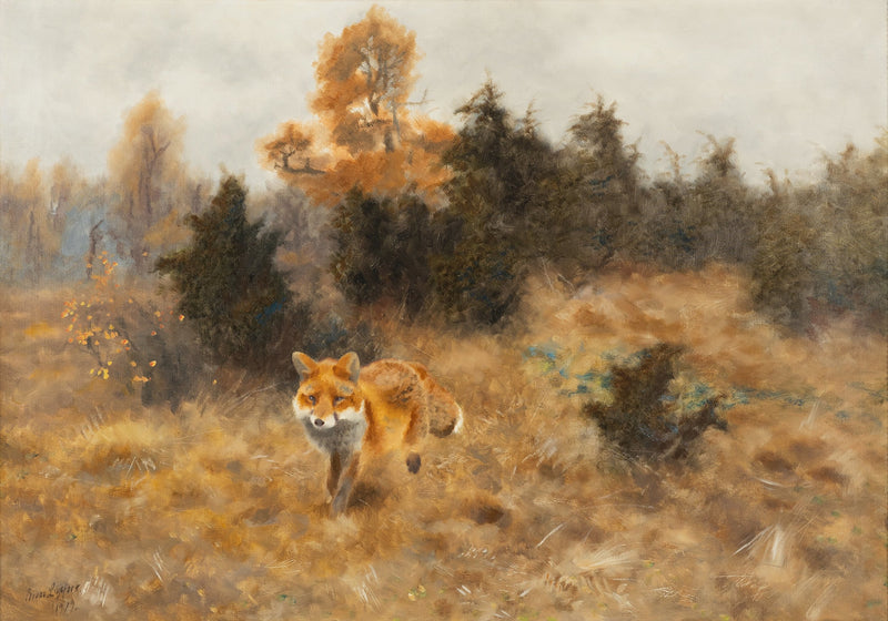 Volpe in un paesaggio autunnale - Bruno Liljefors