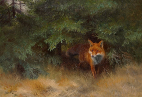 Renard dans un paysage forestier - Bruno Liljefors