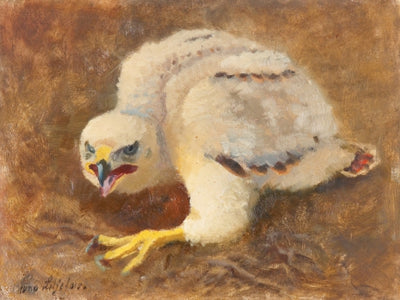 Occhi intorno - Bruno Liljefors