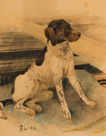 cane da caccia - Bruno Liljefors