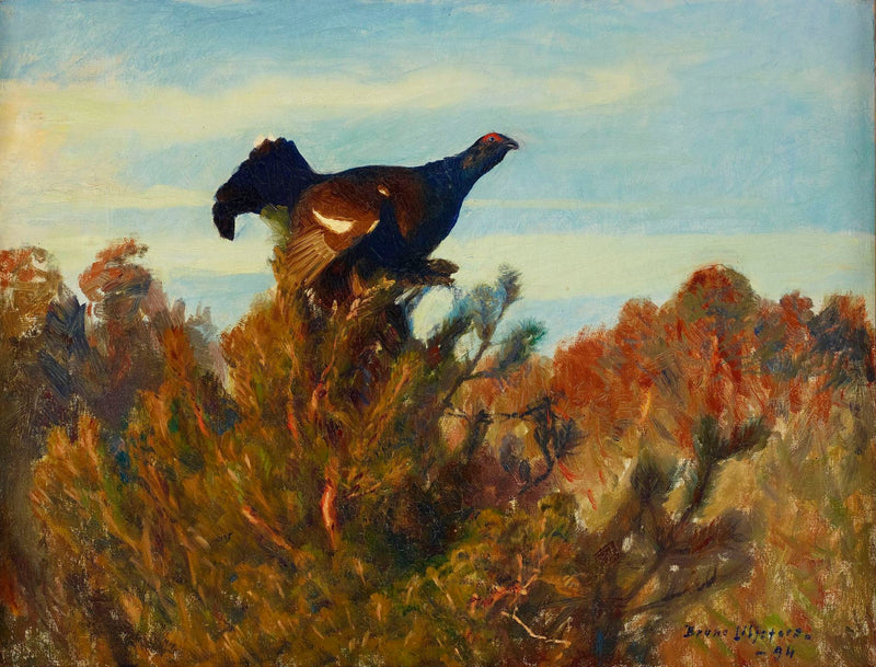 Fagiano di monte - Bruno Liljefors