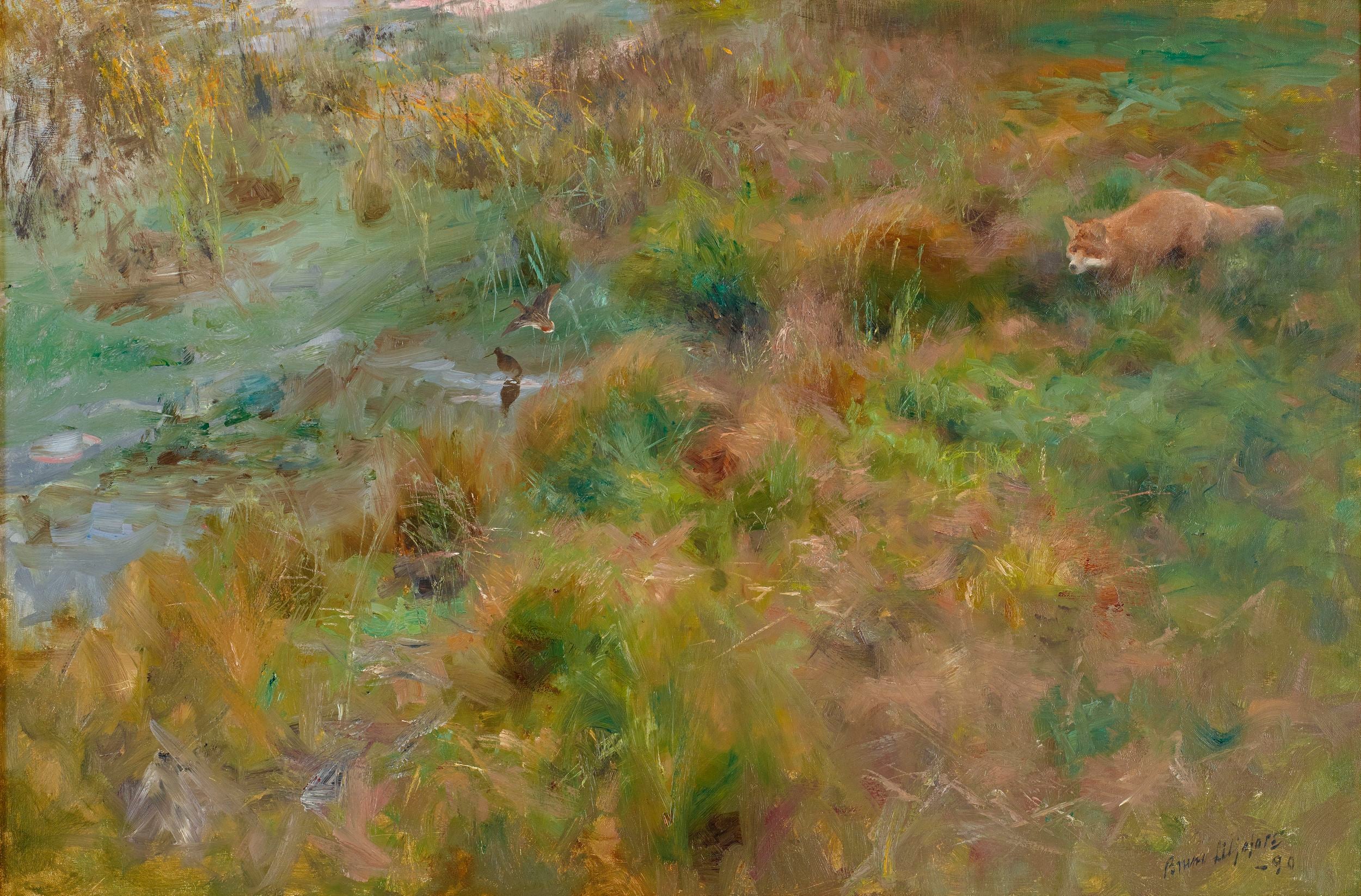 Palude - Bruno Liljefors
