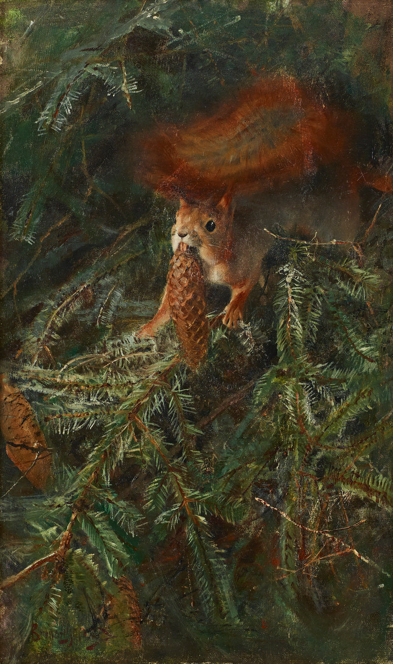 Scoiattolo - Bruno Liljefors