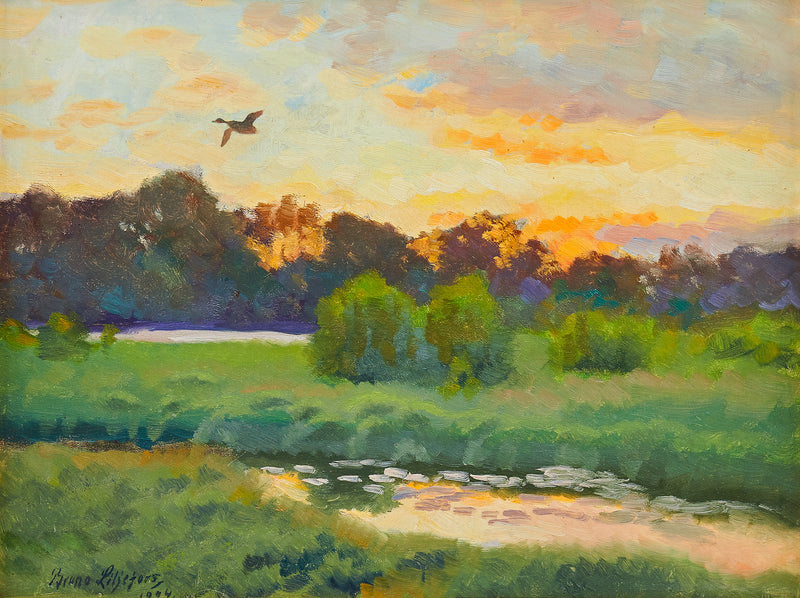 uccello marino allungato - Bruno Liljefors