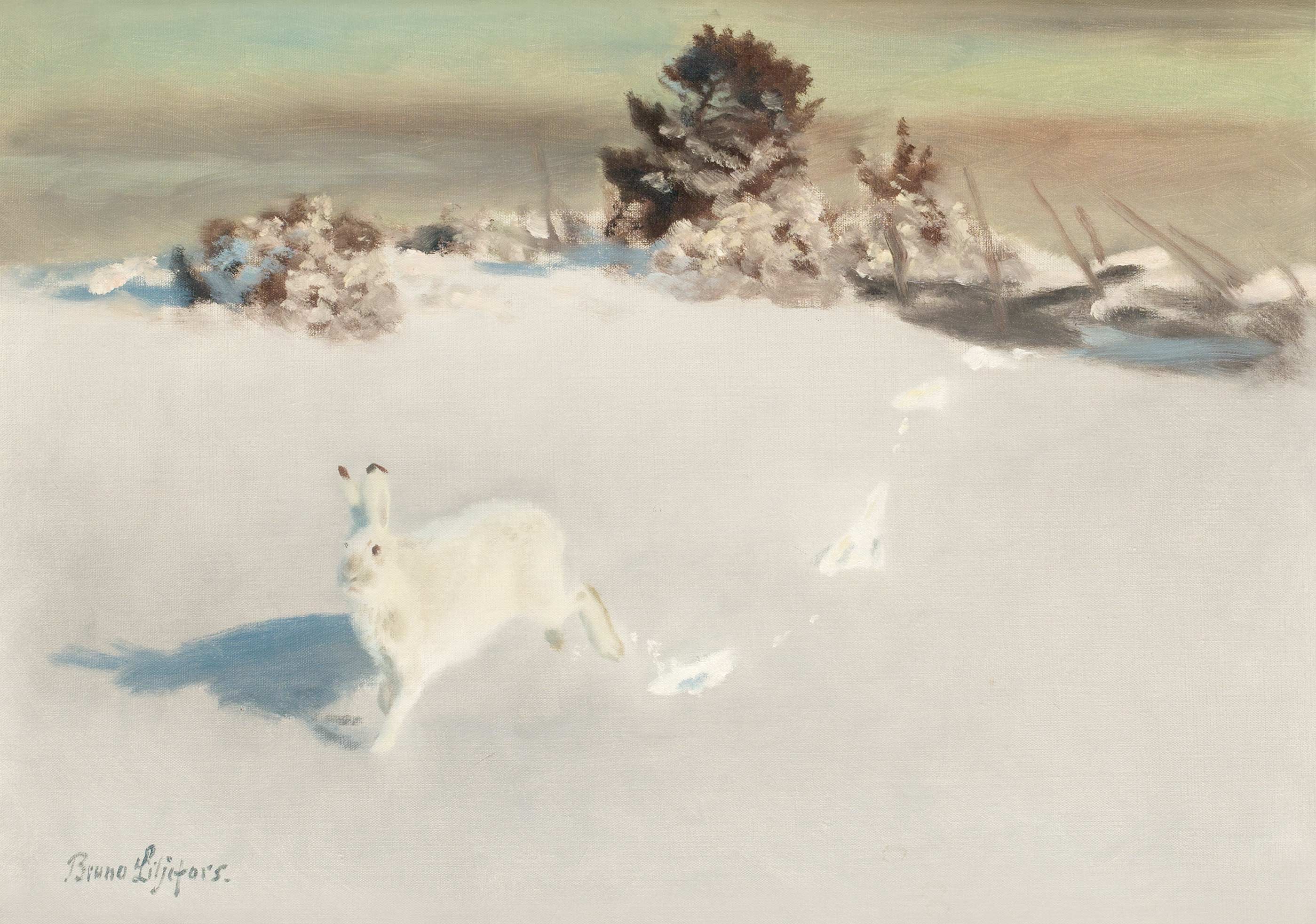 Q135437736 - Bruno Liljefors