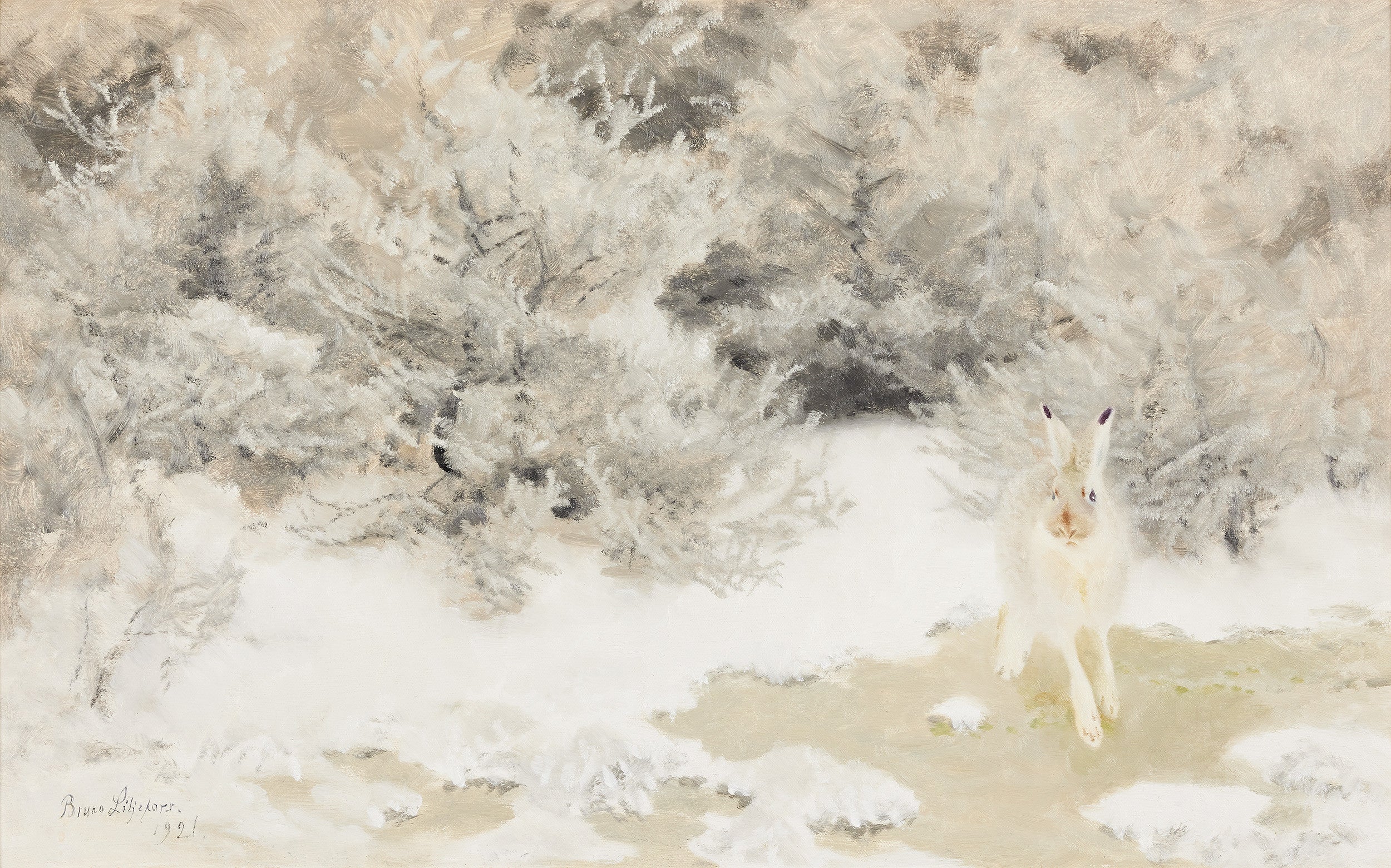Lepre invernale - Bruno Liljefors