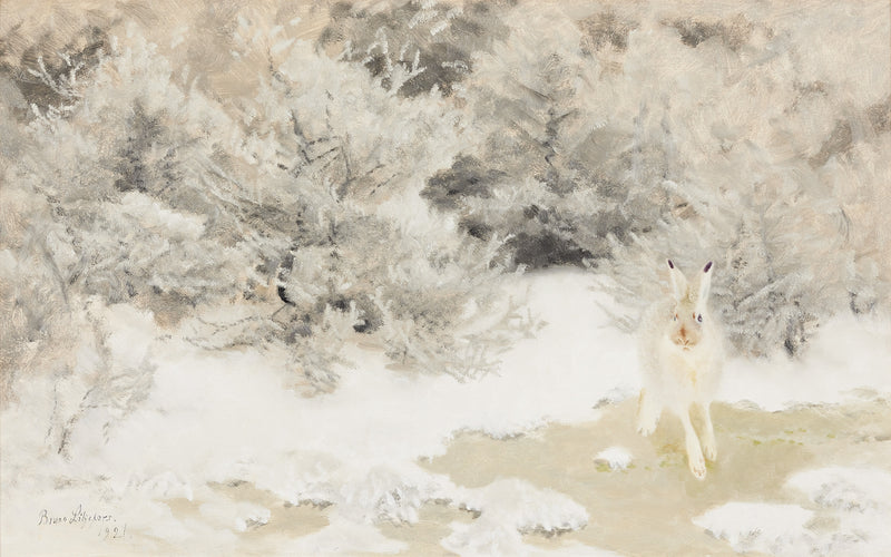 Lepre invernale - Bruno Liljefors