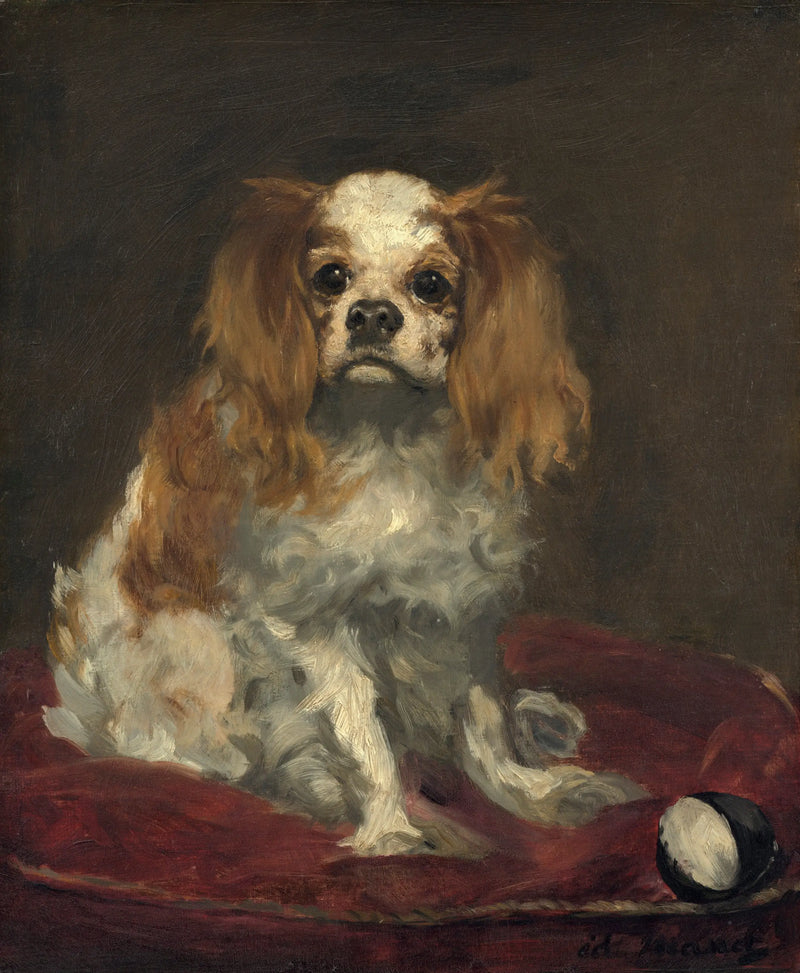 Un spaniel King Charles - Édouard Manet