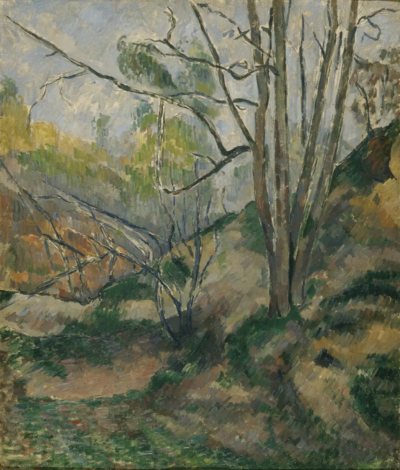 Sottobosco - Paul Cézanne