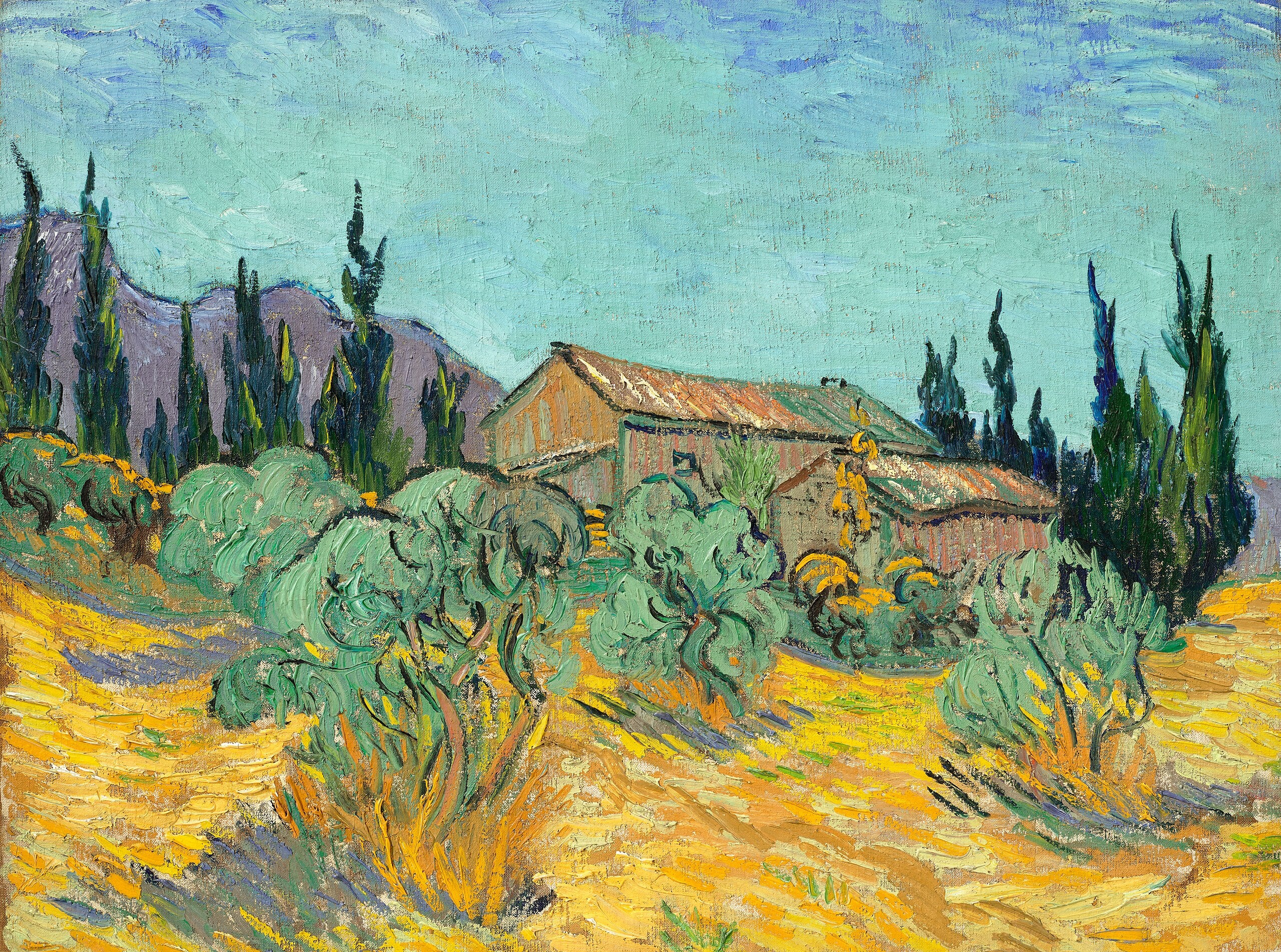 Capanni di legno tra ulivi e cipressi - Vincent van Gogh