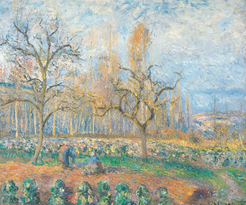 Frutteto a Pontoise, sole al tramonto - Camille Pissarro