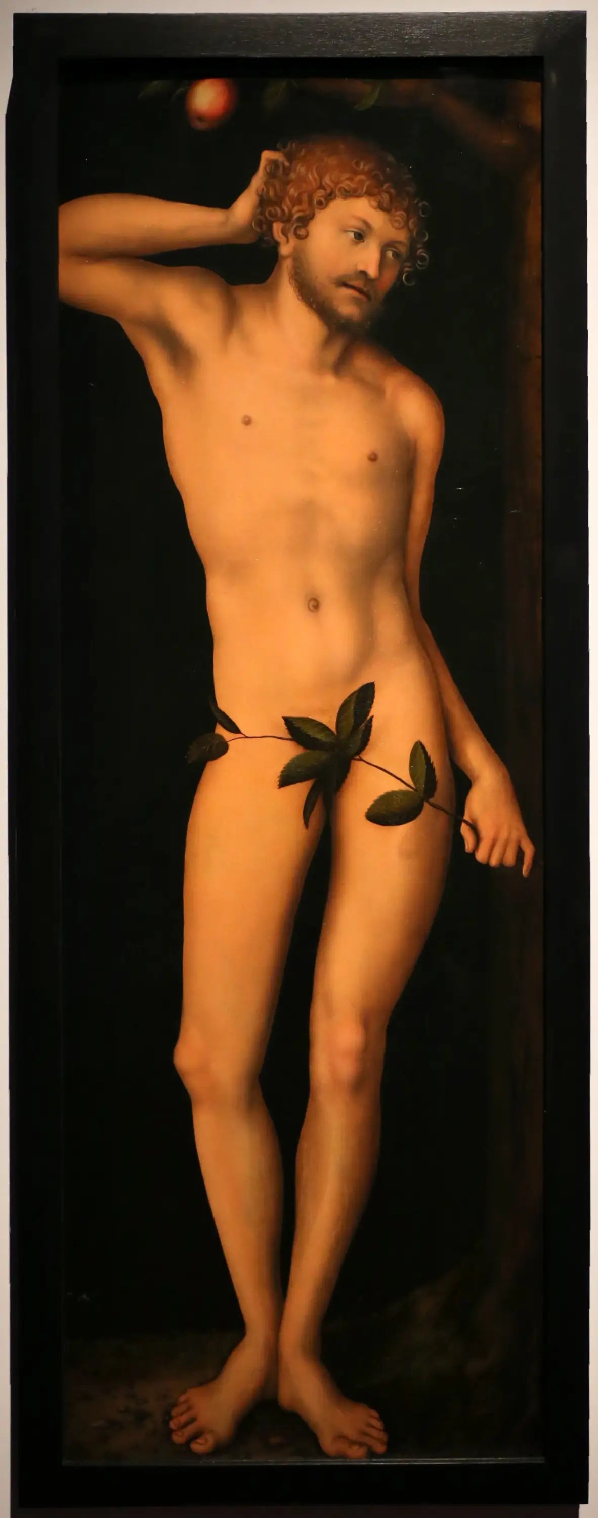 Adam - Lucas Cranach the Elder - Alpha Reproduction