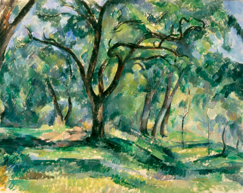 Sottobosco - Paul Cézanne