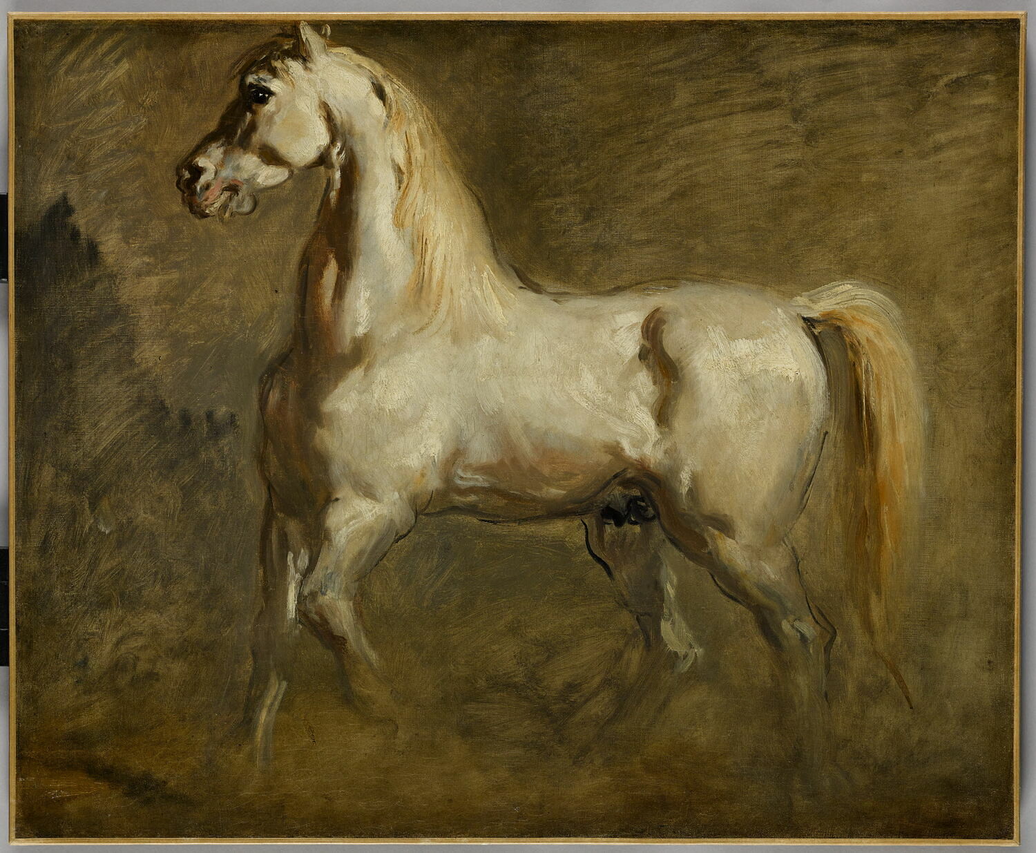 Cheval blanc de profil à gauche - Théodore Chassériau - Alpha Reproduction