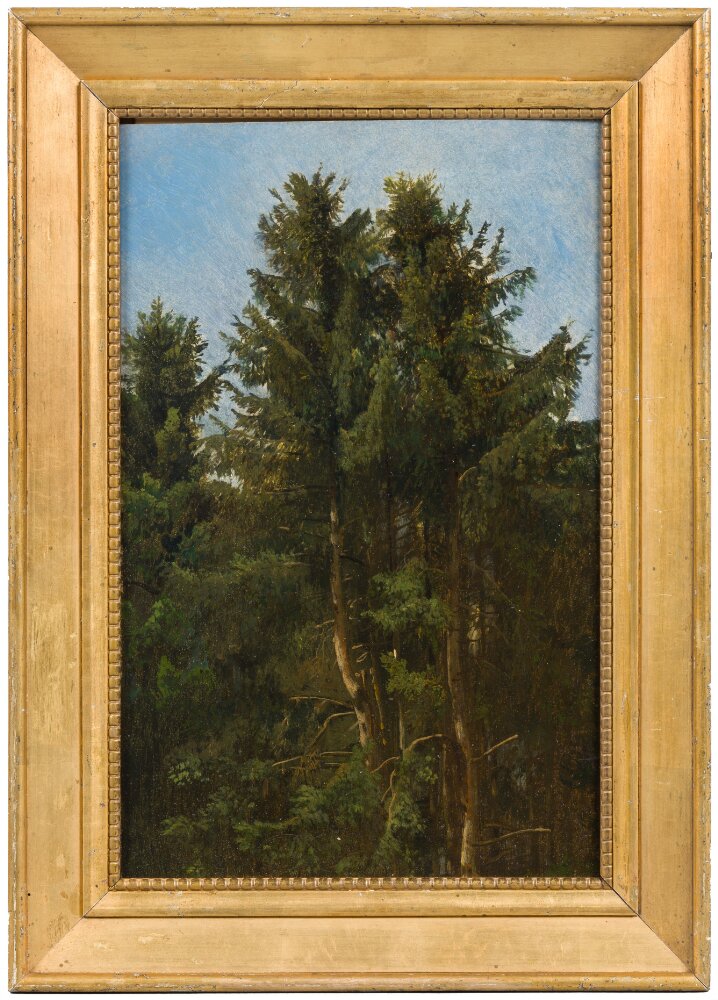 Arbres. Étude - Francesco Solimena - Alpha Reproduction