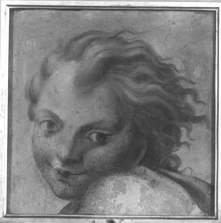 Q30093989 - Antonio da Correggio - Alpha Reproduction