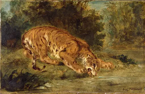 Tigre che beve - Eugène Delacroix