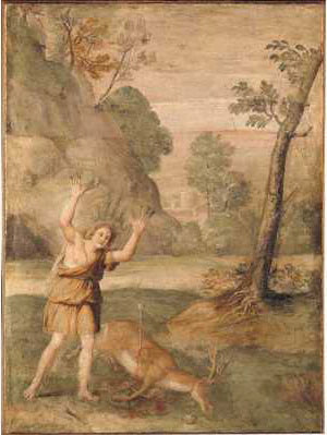 La trasformazione di Cyparissus - Domenichino
