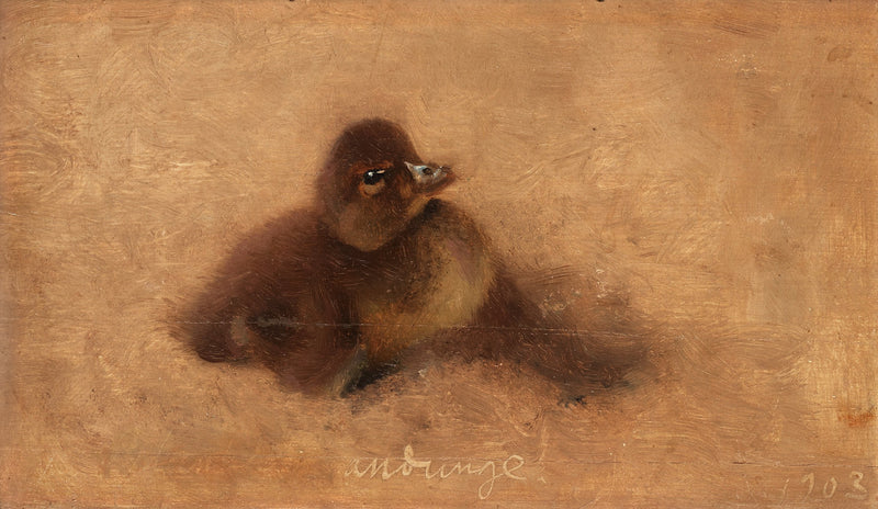 Anatroccolo - Bruno Liljefors