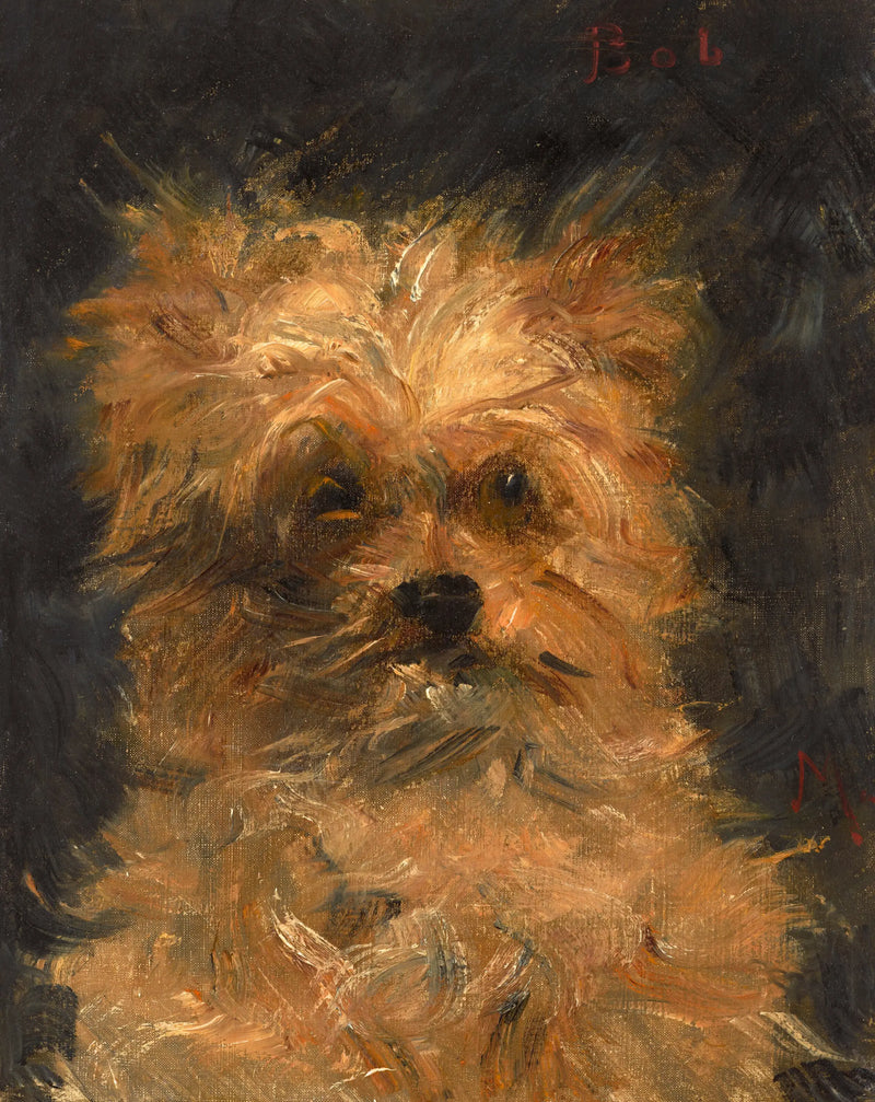 Bob, cane griffone - Édouard Manet