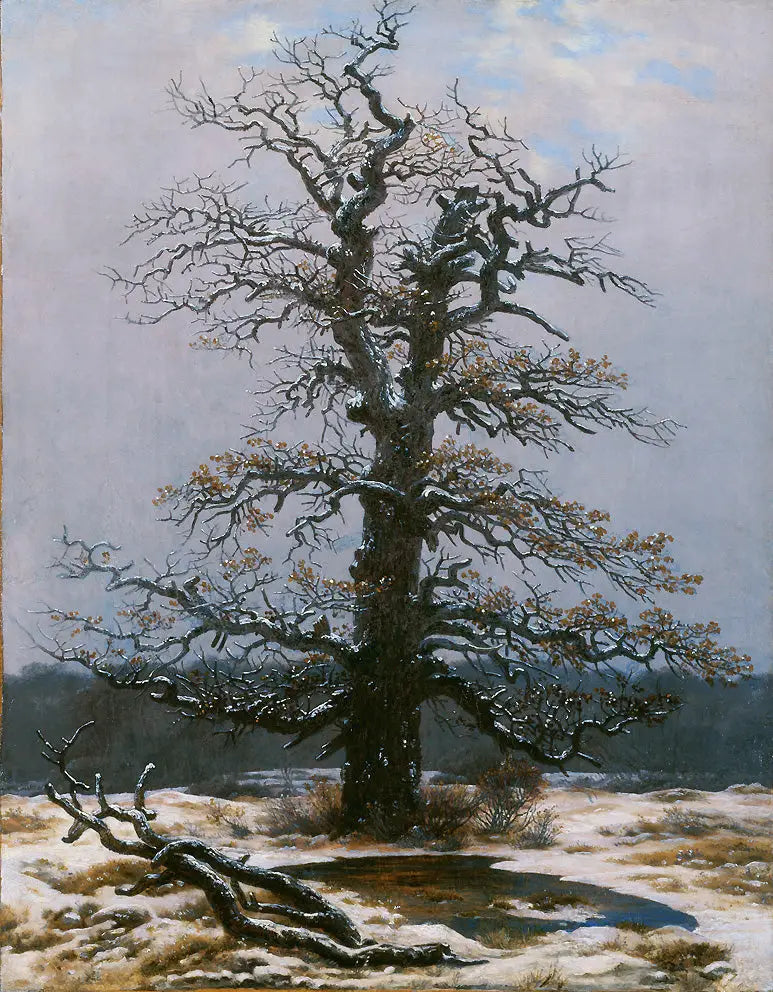 Quercia sotto la neve - Caspar David Friedrich